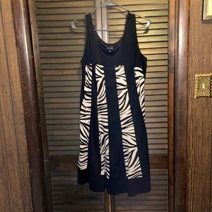 Beautiful in focus women 16 W, black trim zebra print enclosed with black trim